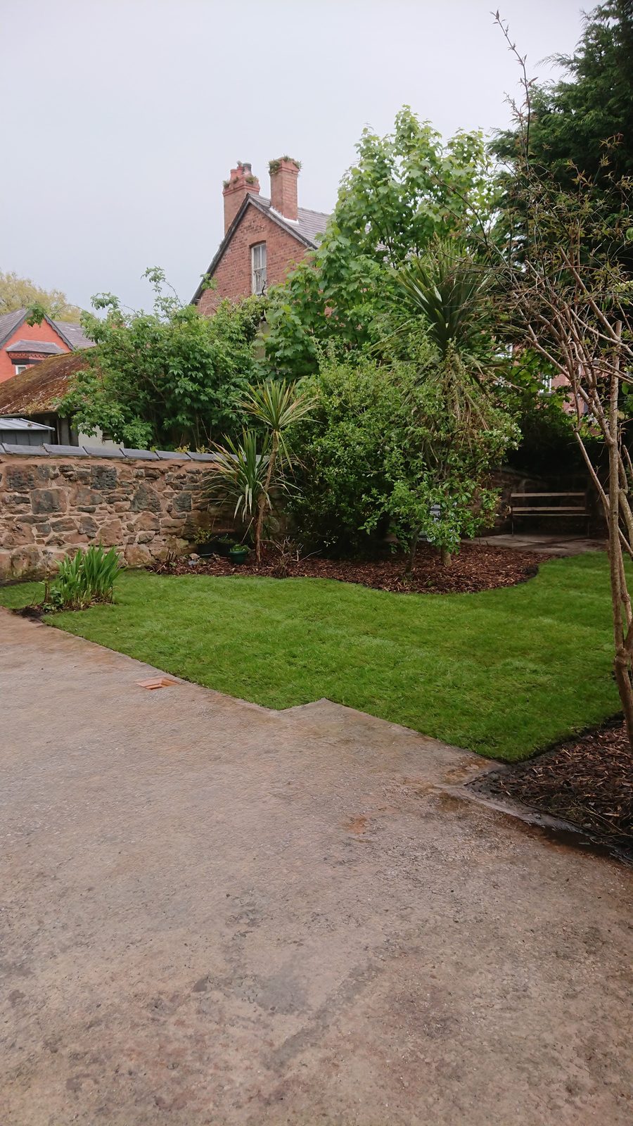 Back garden with a new lawn, planted borders and an old sandstone wall